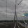 Cycling along the River Seine to Le Havre before crossing to Honfleur on the Pont de Normandie (2016 Day 38 Roumare to Honfleur)